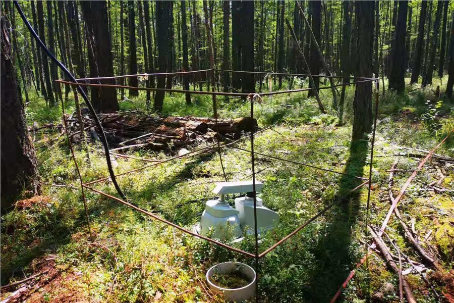 大兴安岭国家森林生态土壤通量测量系统