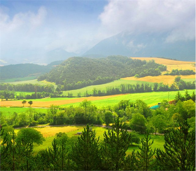 回顾：100个最重要的生态学基础问题