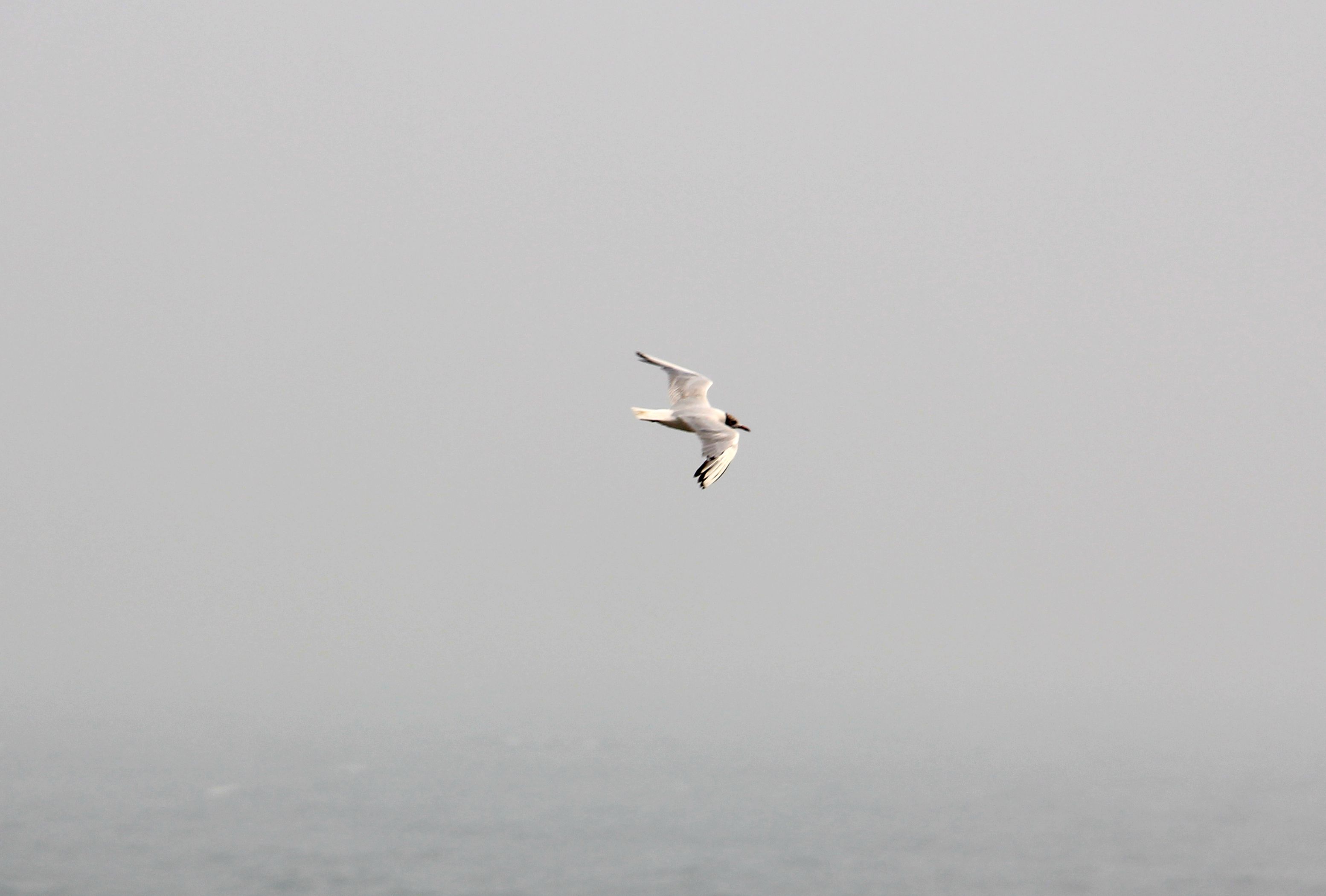 理加联合2013年避暑旅游—美丽的菊花岛之行