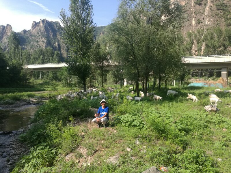 理加联合2017年度游-龙庆峡 玉渡山之行