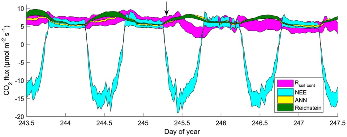 同步测量13CO2和CO2实现净生态系统CO2交换中光合作用和呼吸的重新分配 同步测量13CO2和CO2实现净生态系统CO2交换中光合作用和呼吸的重新分配